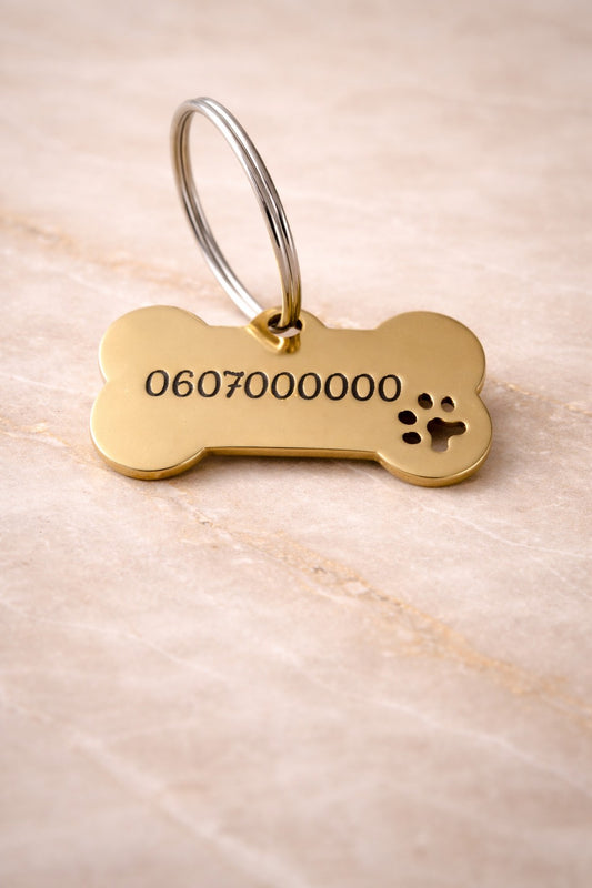 Médaillon pour chien Or