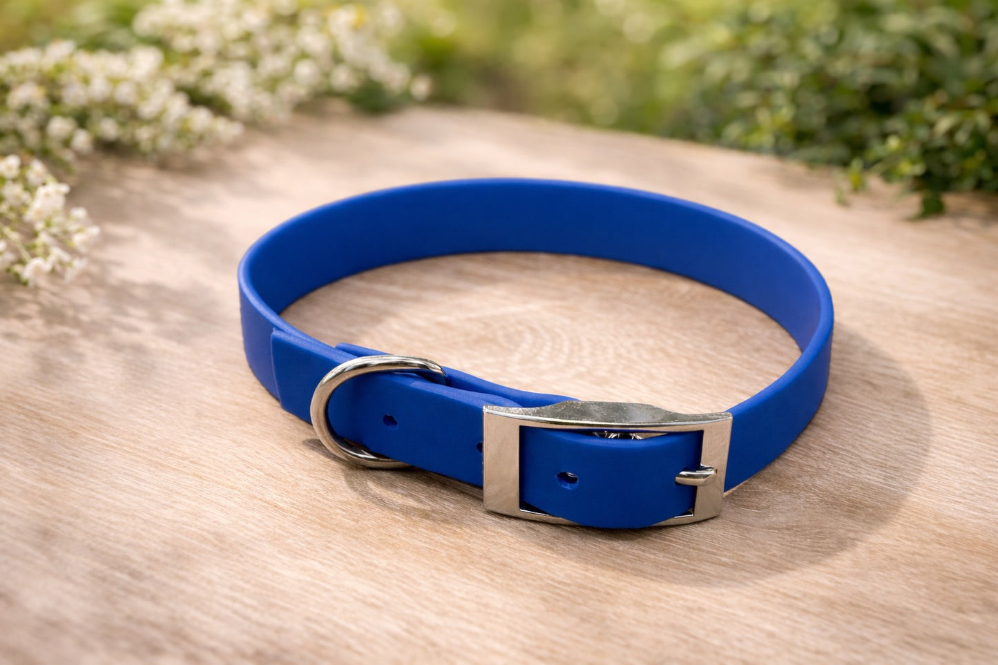 Collier chien tour de cou de 34-42cm et 16mm de large
