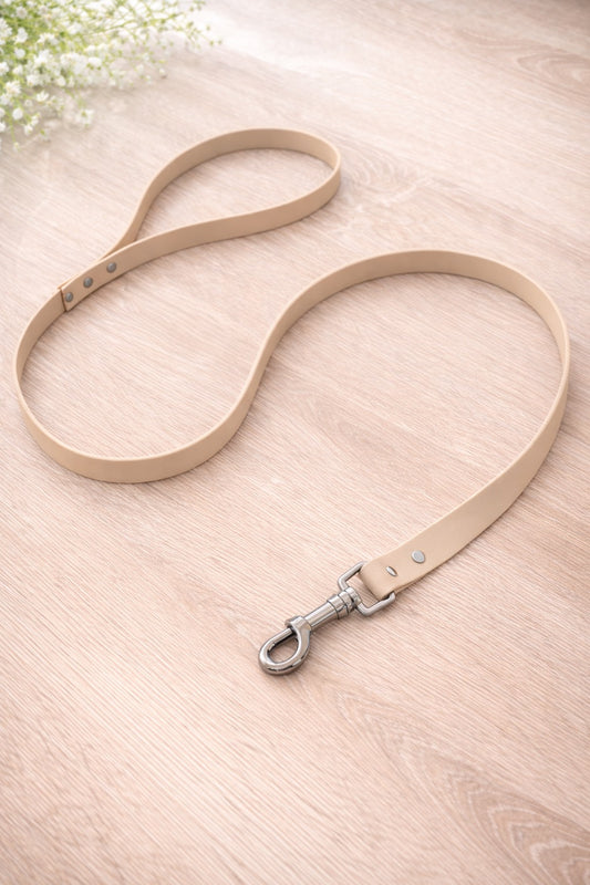 Laisse pour chien 1m